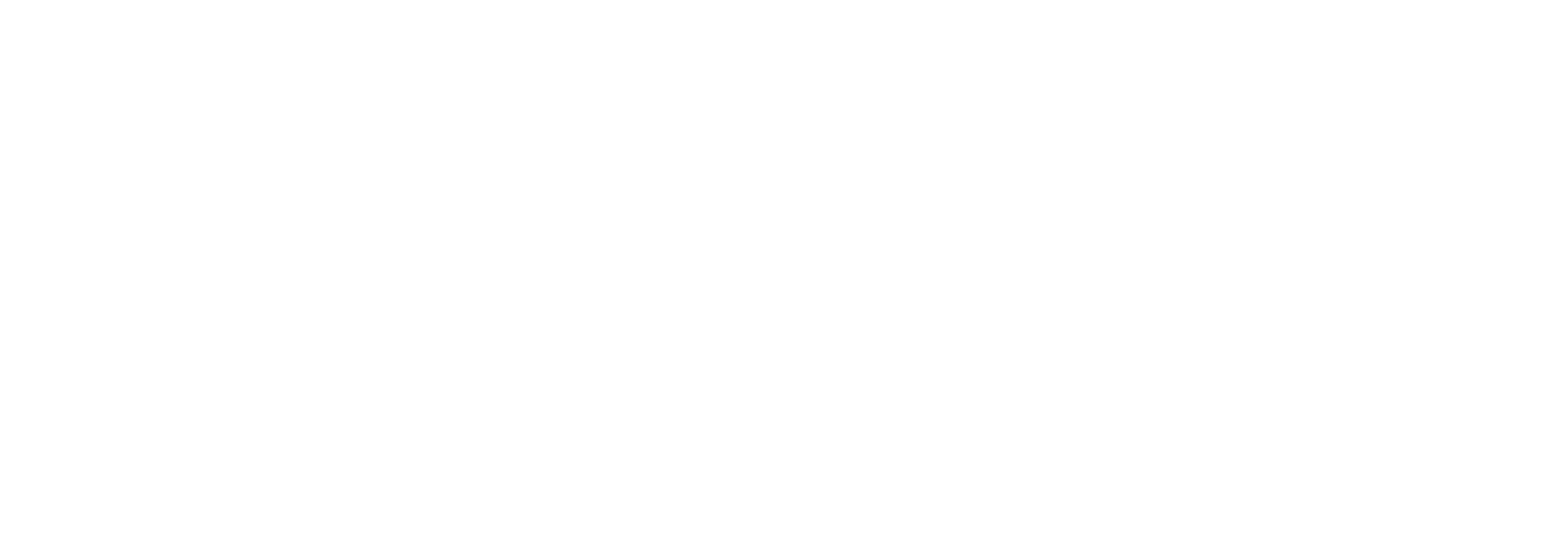 Pauhu AI